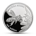 Zwierzęta świata - Pszczoła miodna